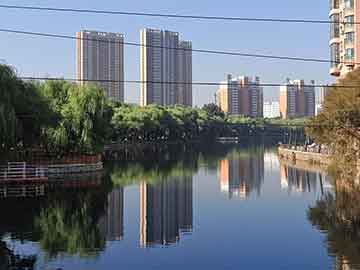 新澳門精準(zhǔn)四肖期期準(zhǔn),警惕新澳門精準(zhǔn)四肖期期準(zhǔn)背后的風(fēng)險(xiǎn)與犯罪問題