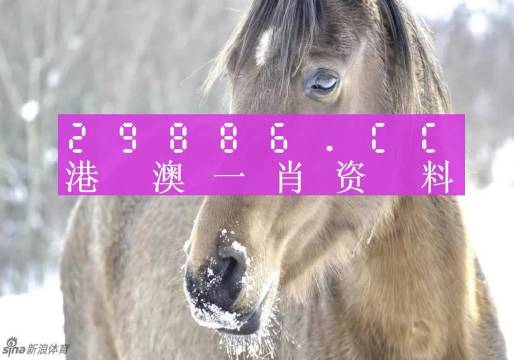 澳門一肖一碼100%精準,澳門一肖一碼100%精準，揭示背后的風(fēng)險與犯罪問題