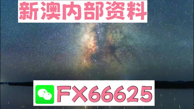 2024天天彩全年免費資料,探索2024天天彩，全年免費資料的深度解析