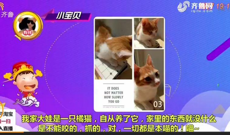 澳門一碼一肖一待一中四不像,澳門一碼一肖一待一中四不像，探索神秘與現(xiàn)實(shí)的交匯點(diǎn)