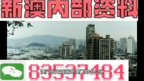 澳門最精準資料免費提供,澳門最精準資料免費提供，揭示違法犯罪的危害與警示