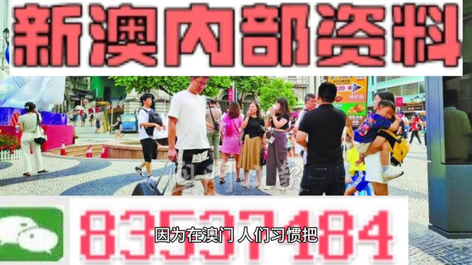 新澳新澳門正版資料,警惕新澳新澳門正版資料的潛在風(fēng)險(xiǎn)——揭露違法犯罪問題的重要性