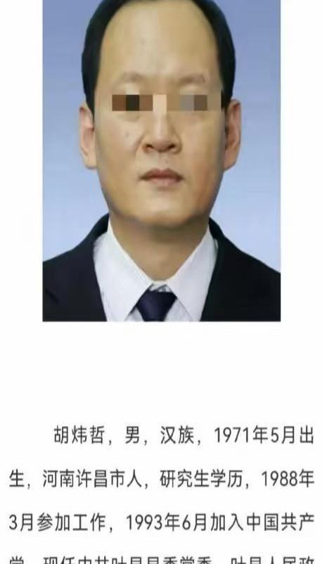 小神醫(yī)混仕途最新章節(jié),小神醫(yī)混仕途最新章節(jié)，醫(yī)術(shù)與權(quán)力的交織