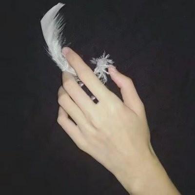 關(guān)于手的頭像最新版,關(guān)于手的頭像最新版，探索個性與時尚的新潮流