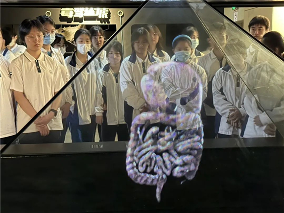 2024澳門天天開好彩大全最新版本,警惕虛假博彩陷阱，遠(yuǎn)離犯罪，珍愛生活——關(guān)于澳門博彩業(yè)及2024澳門天天開好彩的真相揭示