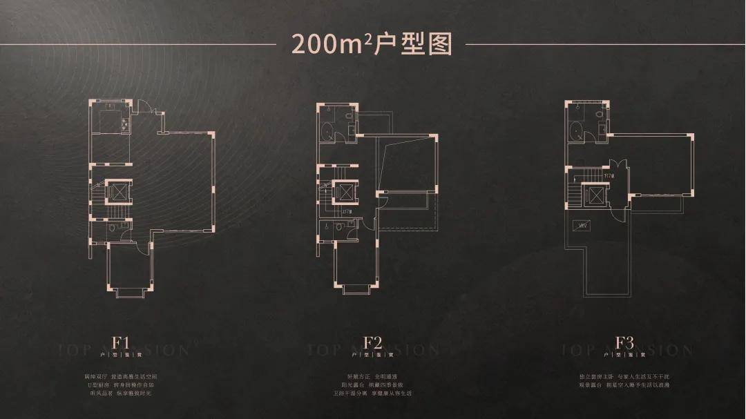 新門內部資料精準大全,新門內部資料精準大全，深度探索與解析