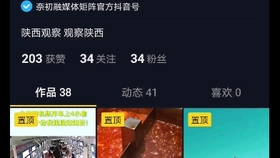 管家婆一碼一肖,揭秘管家婆一碼一肖，背后的神秘面紗與真相探索