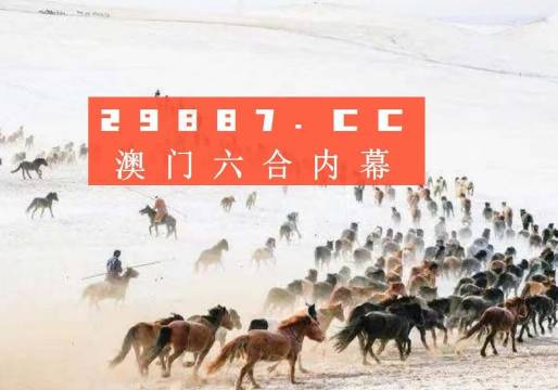 4949澳門特馬今晚開獎53期,澳門特馬第53期開獎揭曉，期待與驚喜交織的夜晚