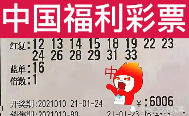新澳2024今晚開(kāi)獎(jiǎng)結(jié)果,新澳2024今晚開(kāi)獎(jiǎng)結(jié)果，期待與驚喜交織的時(shí)刻