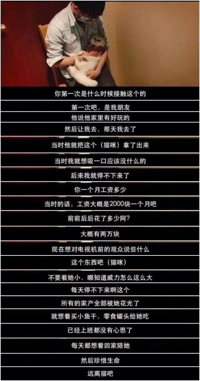 澳門一碼一碼100準確,澳門一碼一碼100準確，揭示真相與警醒社會的重要性