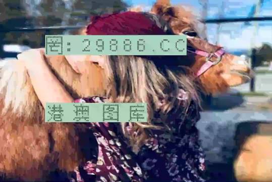 77777788888王中王跑狗軟件介紹,王中王跑狗軟件介紹，探索數(shù)字世界的777777與88888的魅力
