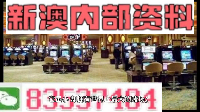 2025澳門正版精準資料大全,澳門正版精準資料大全——探索未來的關鍵指南（2025版）