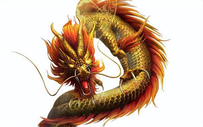 100%最準的一肖,揭秘100%最準的一肖，探尋命運與生肖的神秘聯(lián)系
