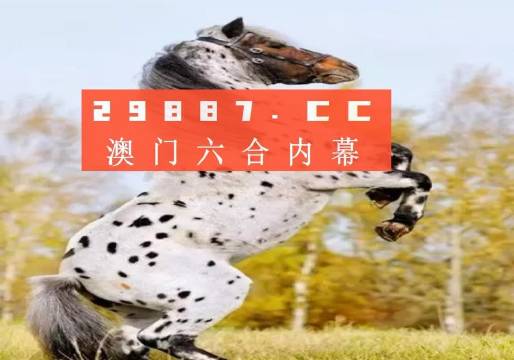 白小姐四不像一肖開獎(jiǎng),白小姐四不像一肖開獎(jiǎng)，神秘與魅力的交織