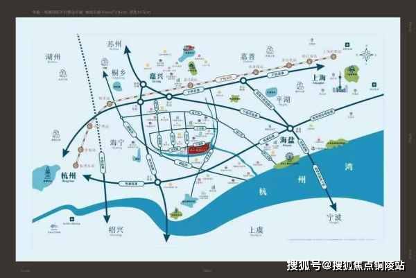 新奧四不像正版最新版本,新奧四不像正版最新版本，探索與解析