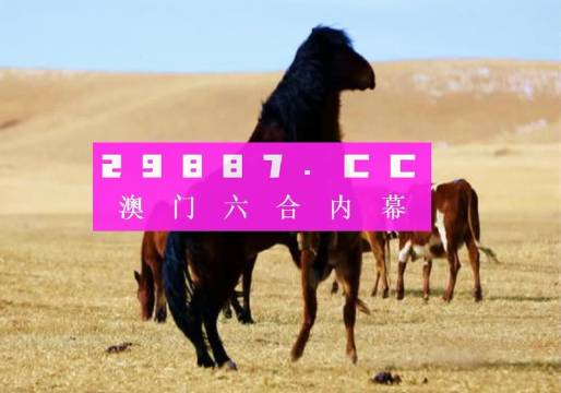 993994www跑狗玄機(jī),揭秘993994WWW跑狗玄機(jī)，探尋背后的真相與秘密