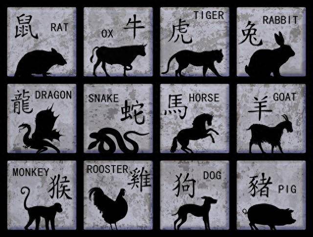 精準(zhǔn)一肖一碼100準(zhǔn)最準(zhǔn)一肖_,精準(zhǔn)一肖一碼，探尋預(yù)測生肖的神秘面紗與精準(zhǔn)之道