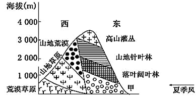 大地資源第二頁(yè)第三頁(yè)區(qū)別,大地資源的第二頁(yè)與第三頁(yè)，區(qū)別與洞察